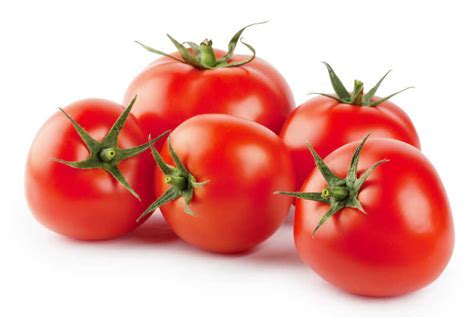 Tomato