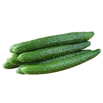 Cucumber