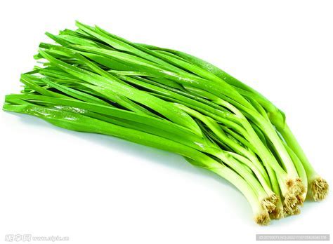 Garlic stalks (Garlic leaves)