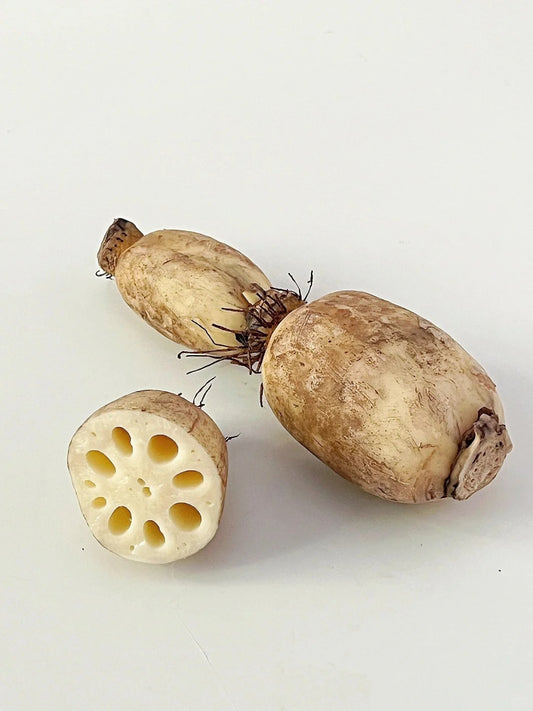 Lotus root (Semi-finished product of Na Tra.)