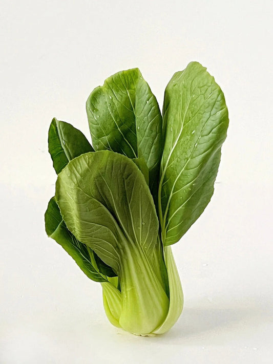 Bok choy (Chip bok choy)