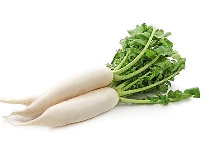 White radish