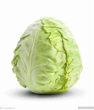 Cabbage